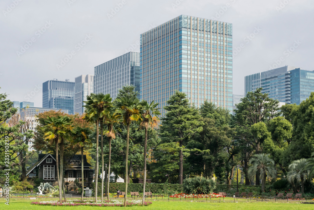 Obraz premium Nature or urban background with view of park in Tokyo, Japan, with trees and tall buildings of Marunouchi district illustrating modern urban ecology concept. 