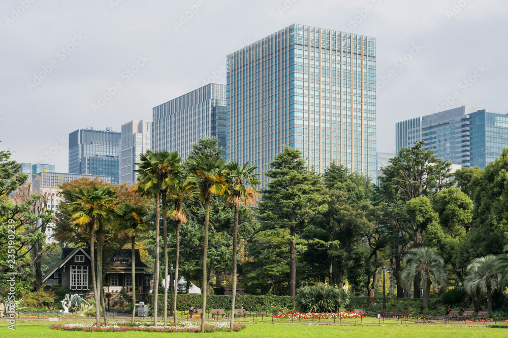 Nature or urban background with view of park in Tokyo, Japan, with trees and tall buildings of Marunouchi district illustrating modern urban ecology concept. 
