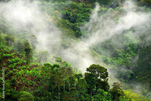  Alpine cloudy landscape near Buenavista, Antioquia, Colombia photo
