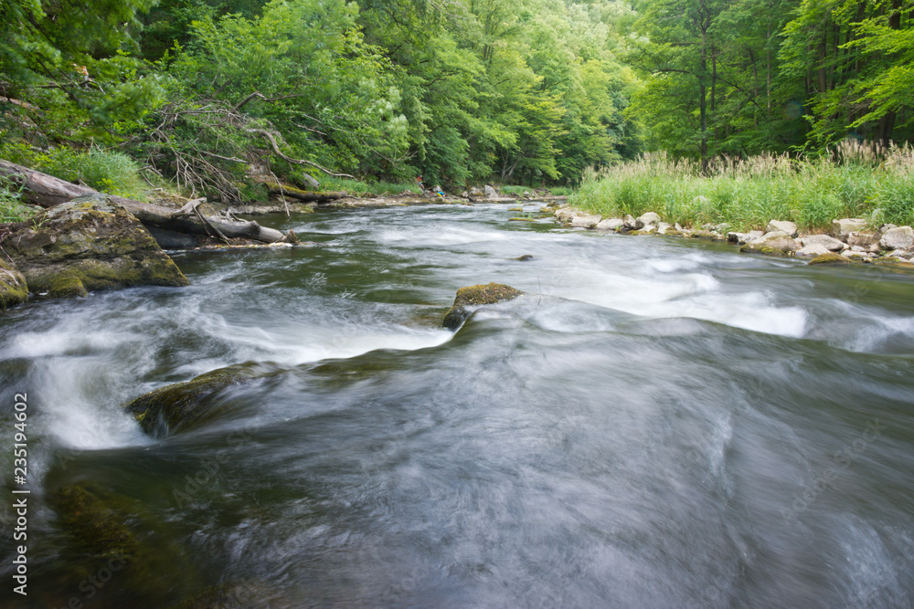 Rapids on river Kamp, one of the last free-flowing major aquatic ecosystems in Austria, in the midst of natural primeval-like forests.