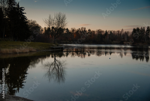 Baum am See