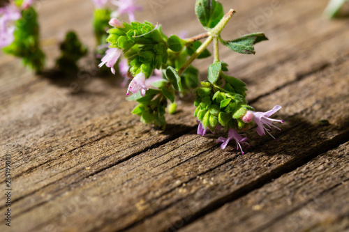 fresh oregano flowers  leaves on old wooden table  macro