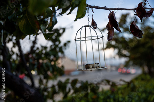 Bird cage hung in morning © fotos2sell