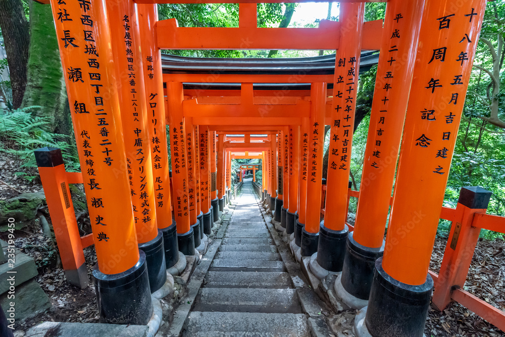 Torii gates in Fushimi Inari Shrine