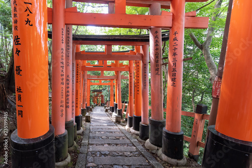 Torii gates in Fushimi Inari Shrine © Prism6 Production