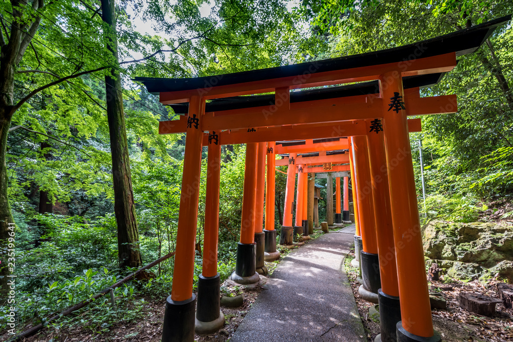 Torii gates in Fushimi Inari Shrine Torii gates in Fushimi Inari Shrine