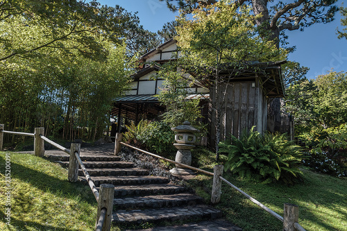 Bamboo  Tea house entrance  steps