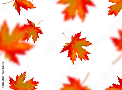 Seamless pattern with bright orange yellow red blurred falling maple leaves isolated on white background. Seasonal banner  cover  wallpaper or autumn holiday vintage decoration. Vector illustration