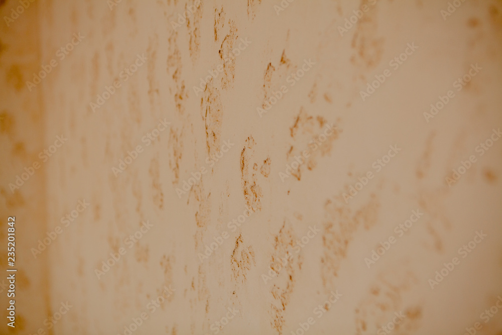 Fototapeta premium background, decorative plaster on the wall, horizontal, texture, structure