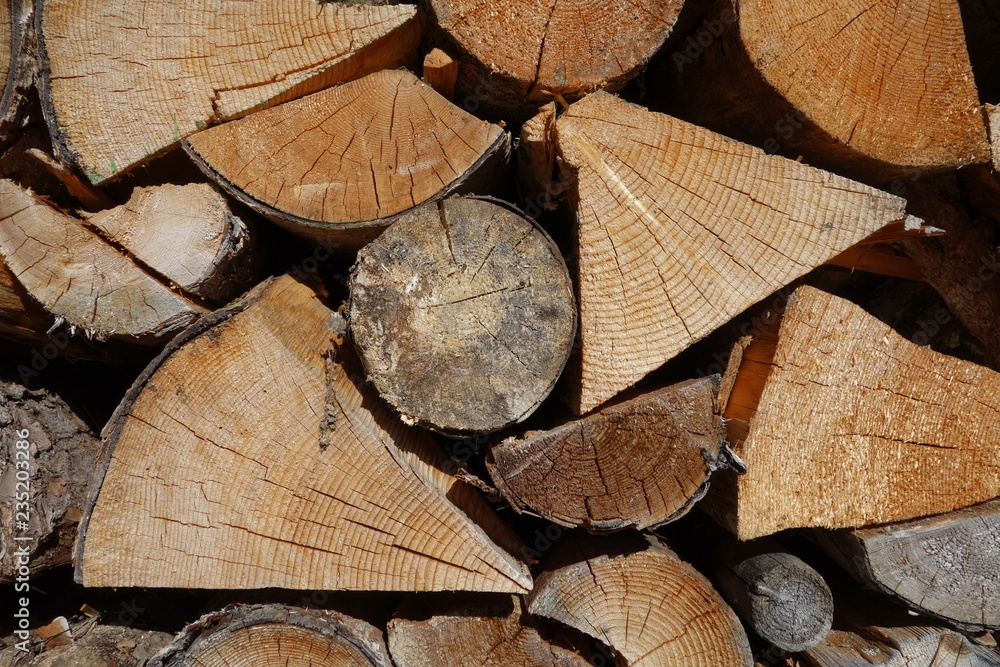 Naklejka premium Brennholz im Stapel