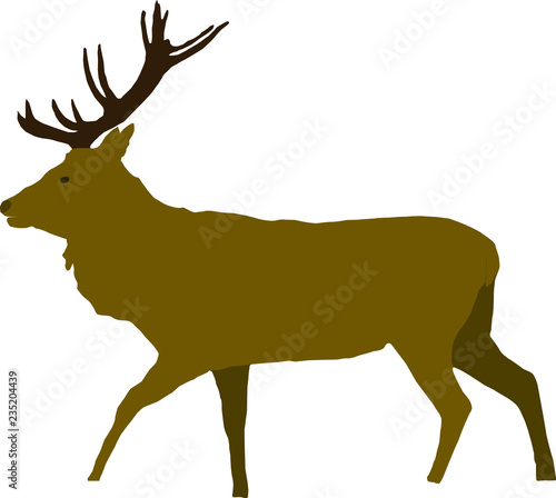 beautiful brown deer
