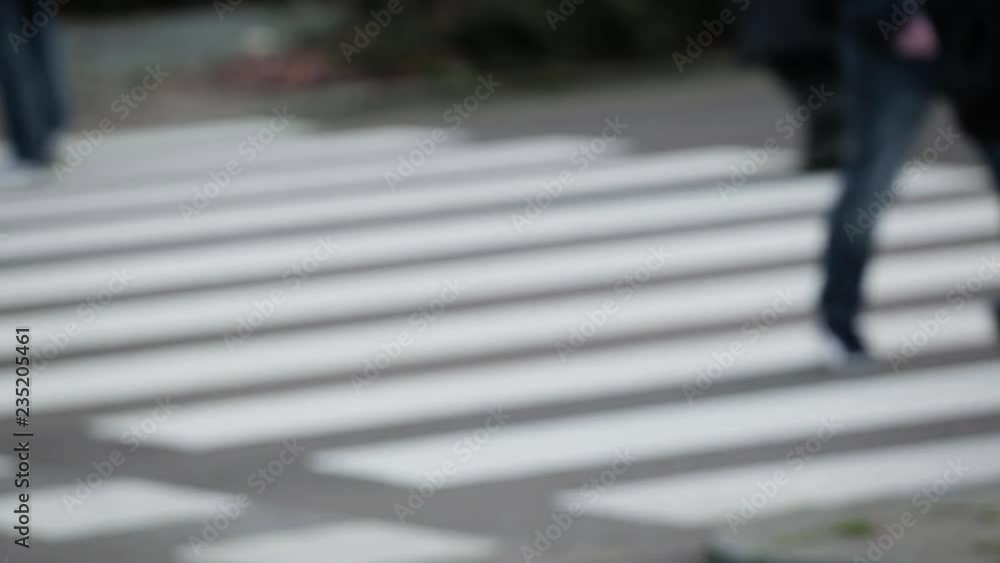 Pedestrians and cyclists cross over a zebra crossing on a city street in Rotterdam, the Netherlands. Pedestrians and cyclists cross over a zebra crossing on a city street in Rotterdam, the Netherlands.