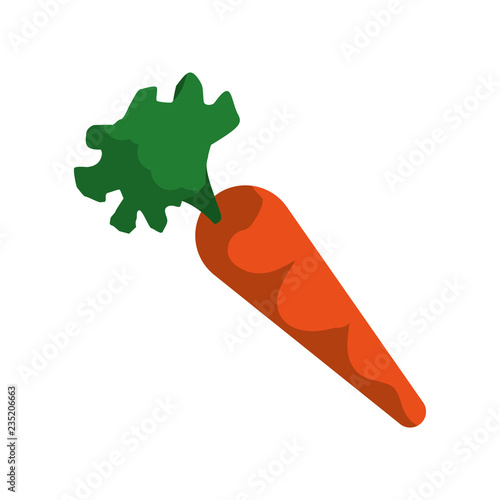 fresh carrot vegetable icon
