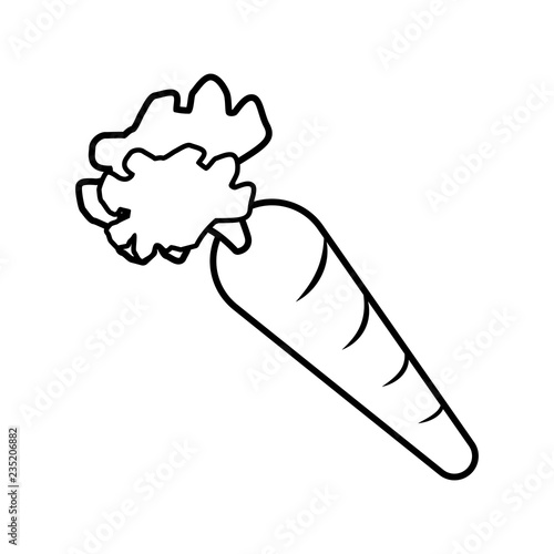 fresh carrot vegetable icon