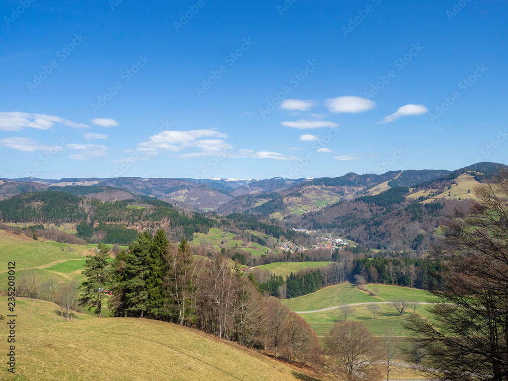 Paysage typique de Forêt-Noire dans le Bade-Wurtemberg en Allemagne. Autour du village de Fröhnd Paysage typique de Forêt-Noire dans le Bade-Wurtemberg en Allemagne. Autour du village de Fröhnd