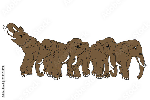 Photography Vector drawing of group of five elephants on the isolated background