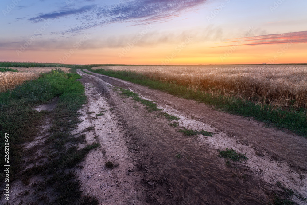 trail on the field during sunset / sunset evening landscape of the field of Ukraine