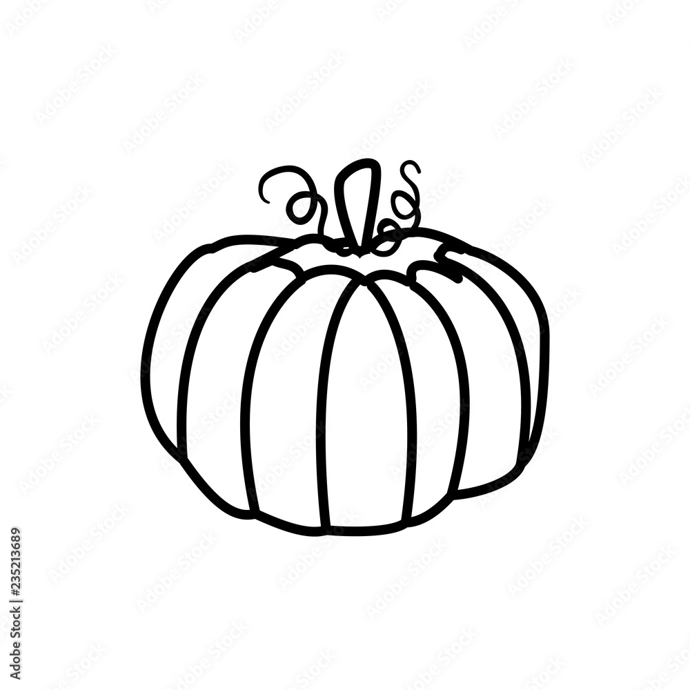 fresh pumpkin vegetarian food