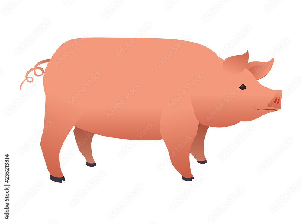 pig animal farm icon pig animal farm icon