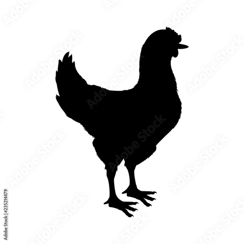 rooster animal farm icon