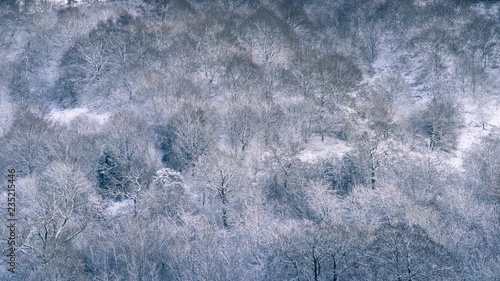 Frozen trees on The Clent Hills in Worcestershire, England © Matthew