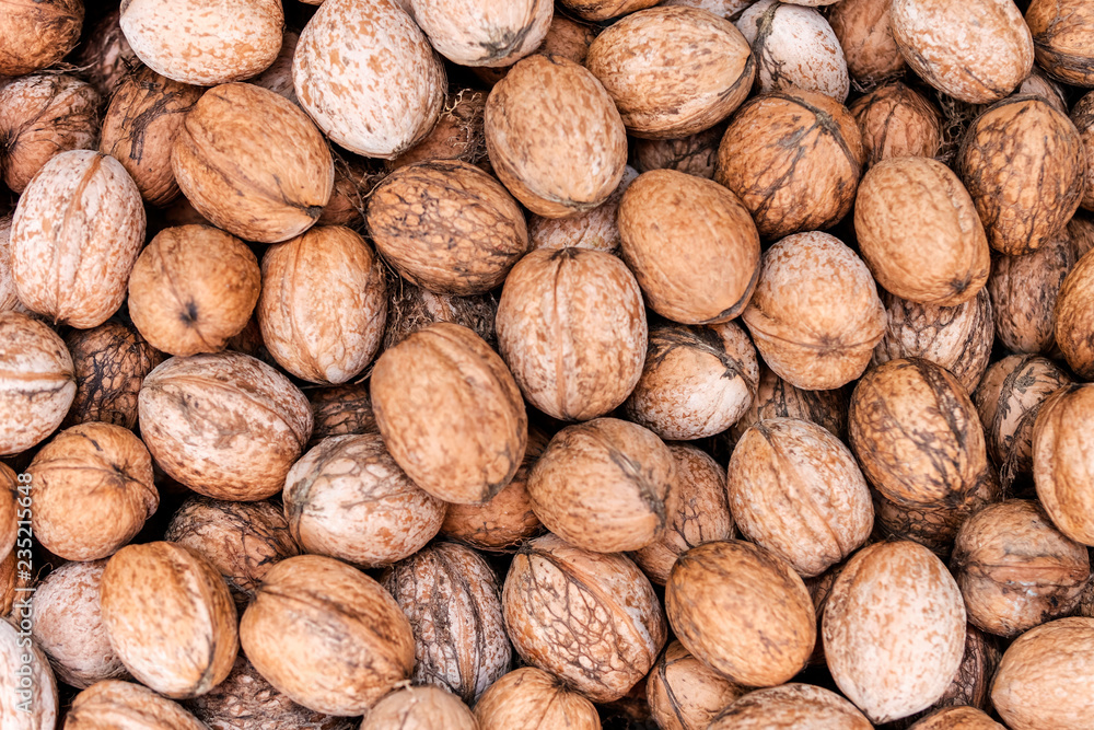 heap of walnuts as background heap of walnuts as background