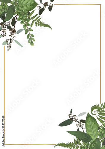 Decorative golden rectangular frame with eucalyptus, fern and boxwood branches isolated on white. For wedding invitations, vignettes, postcards, posters, documents