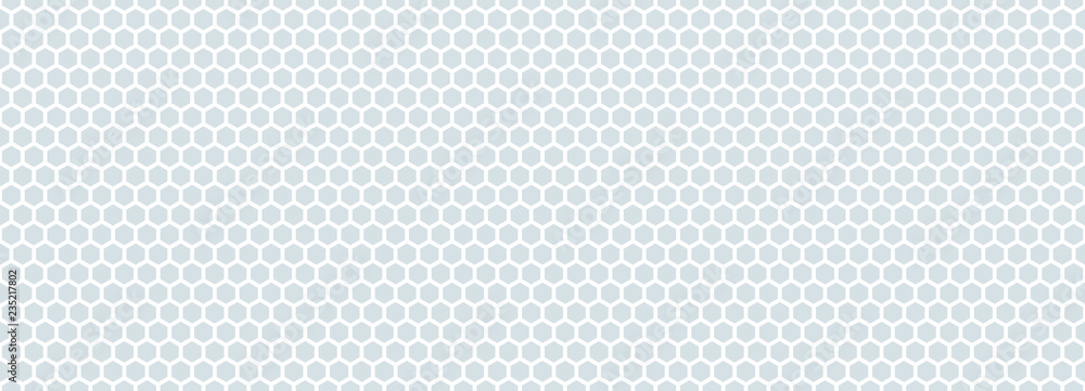 Hexagonal white net