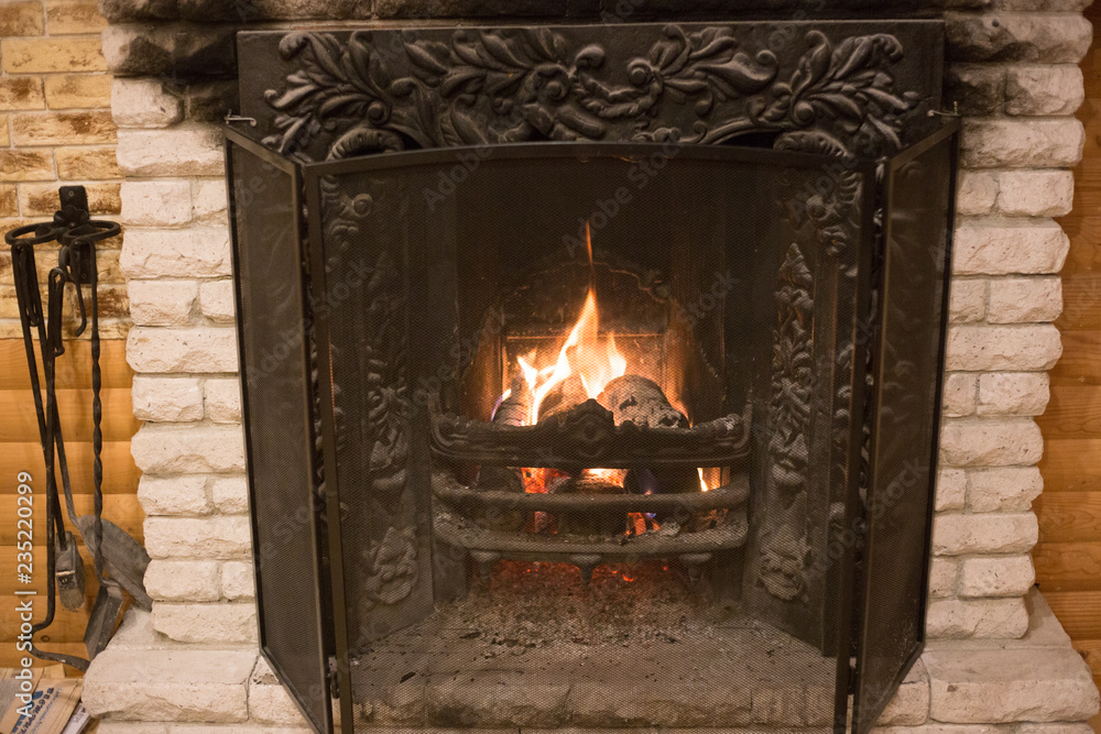 Fotografie firewood in the fireplace