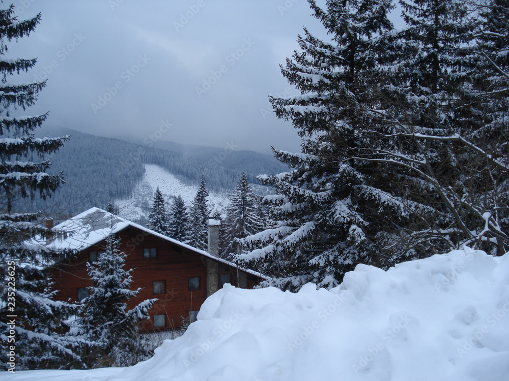 Fototapeta premium maison entre les arbres en hiver à la montagne
