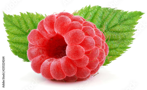 Ripe red raspberry berry fruit with green raspberry leaves isolated on white background. Full depth of field.