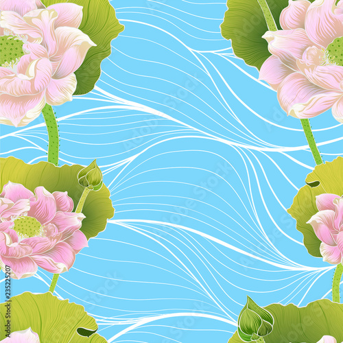 Vector. Lotus pans and buds. Seamless background pattern. Perfume and cosmetic plants. Wallpaper. Decorative composition. Use printed materials, signs, posters, postcards, packaging.
