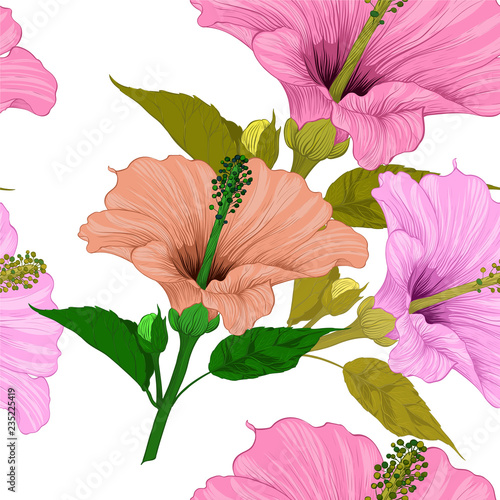 Vector. Hibiscus - flowers and buds. Seamless background pattern. Perfume and cosmetic plants. Wallpaper. Decorative composition. Use printed materials, signs, posters, postcards, packaging.