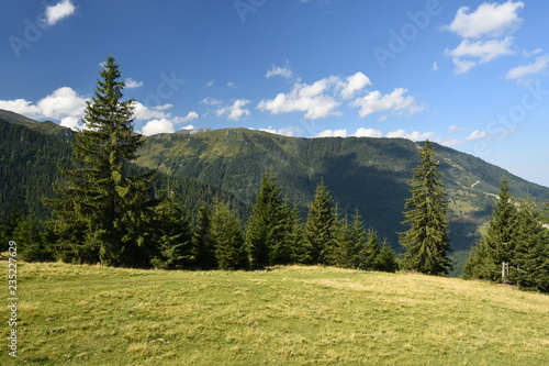 Fototapeta Naklejka Na Ścianę i Meble -  Summer landscape in the Carpathian Mountains (Romania).