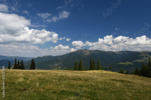 Summer landscape in the Carpathian Mountains  Romania .