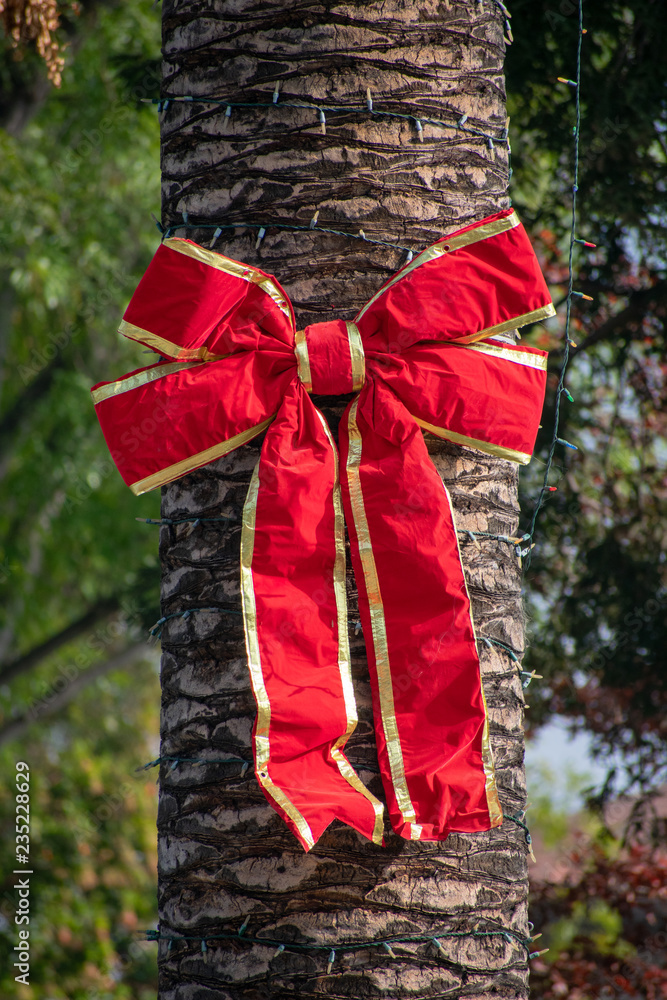 Red Christmas Holiday bow on palm tree trunk with blurred green scenery in background. Christmas string lights wrap the palm tree trunk. Red Christmas Holiday bow on palm tree trunk with blurred green scenery in background. Christmas string lights wrap the palm tree trunk.