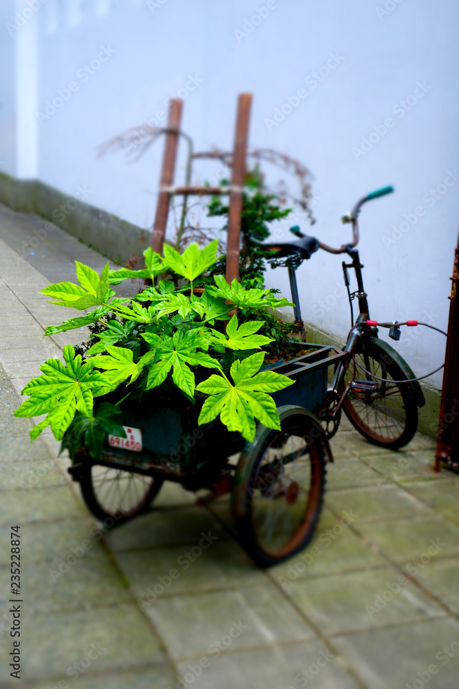 Vintage old bicycle with flowers and plants