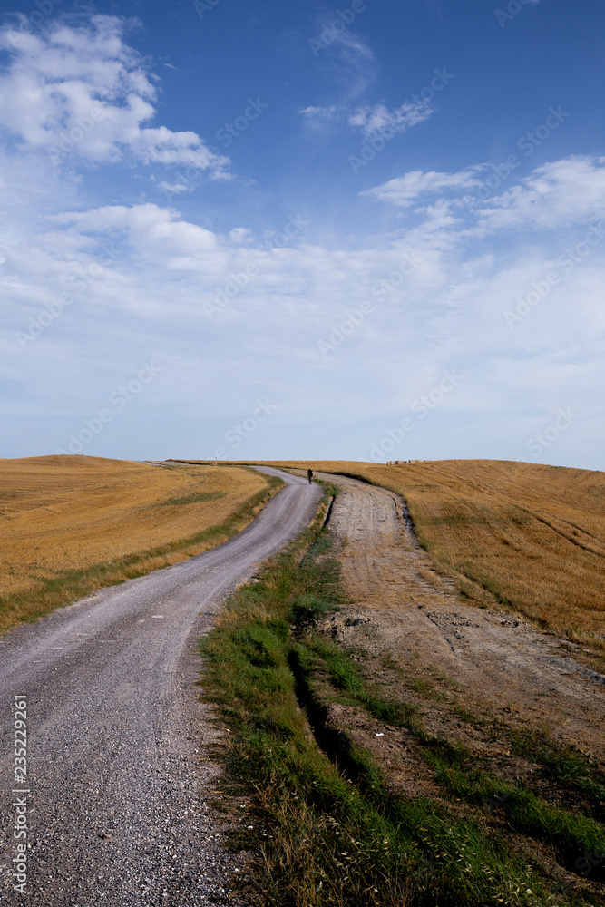 Road through desolate country side 