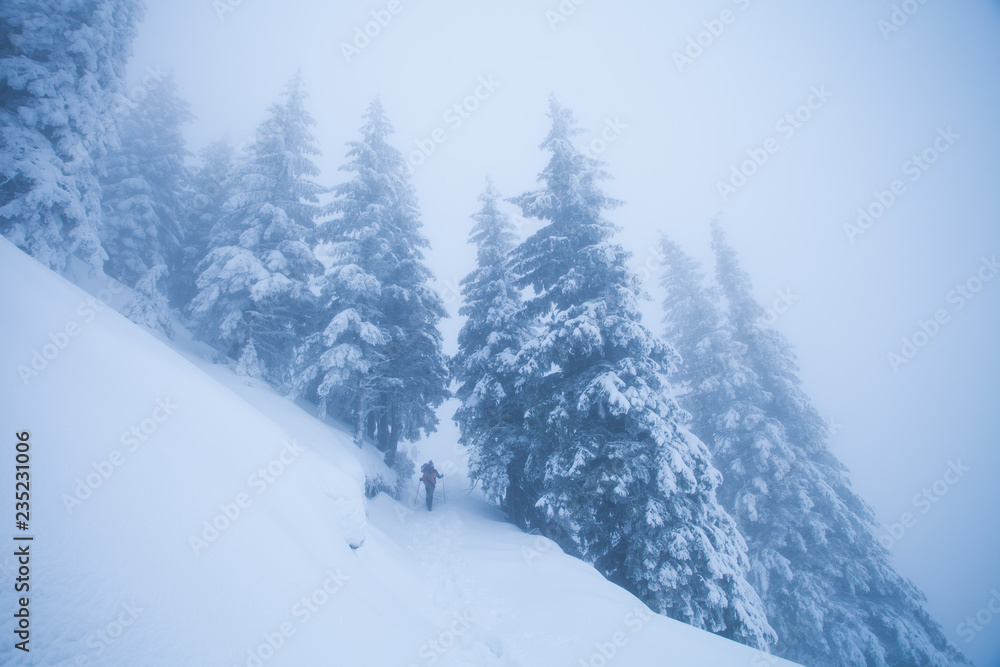 Hikers in beautiful winter landscape