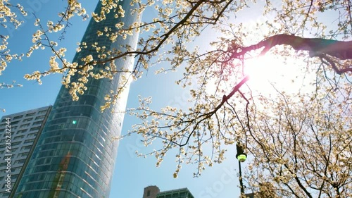 Spring in the City of New York.
