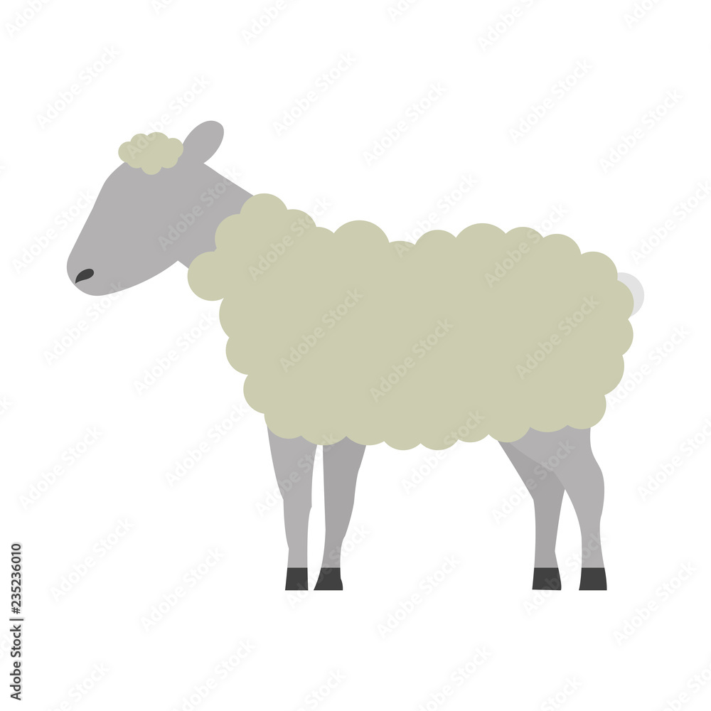 sheep cartoon animal wild life sheep cartoon animal wild life