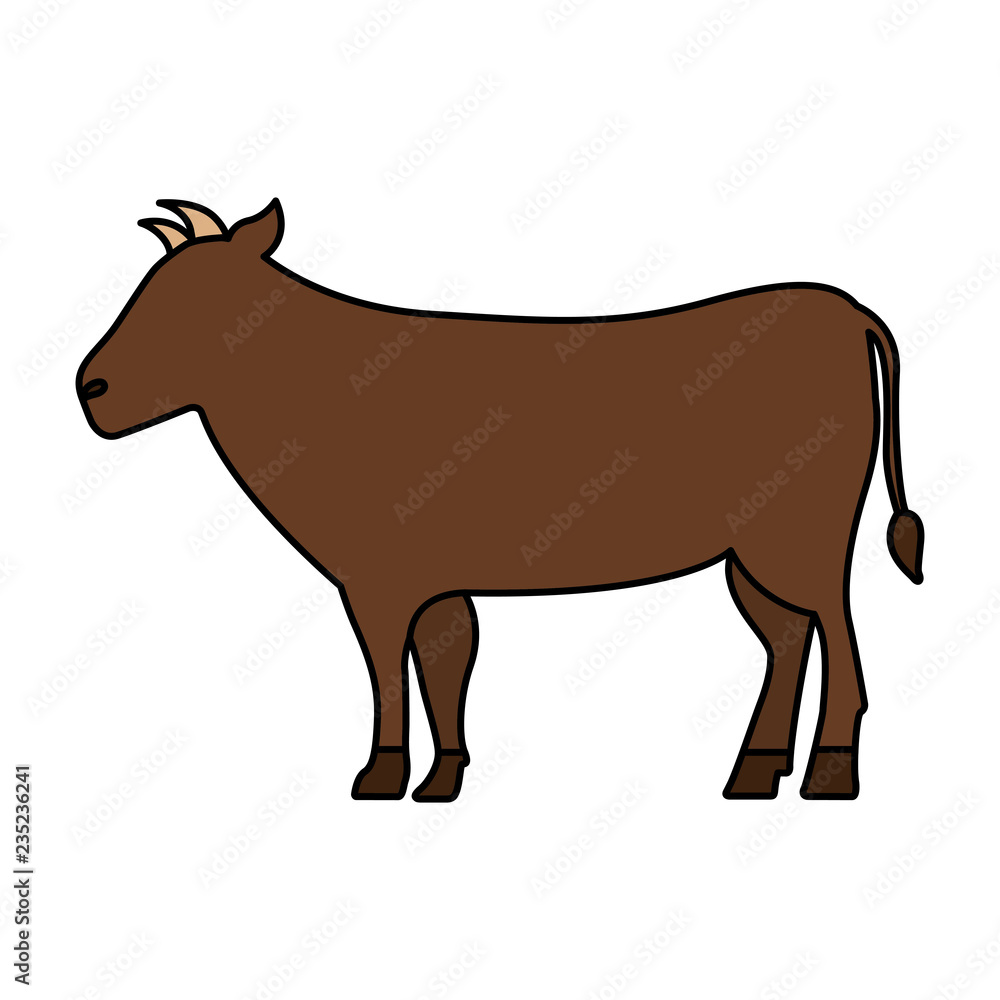 Fototapeta premium cow cartoon animal wild life