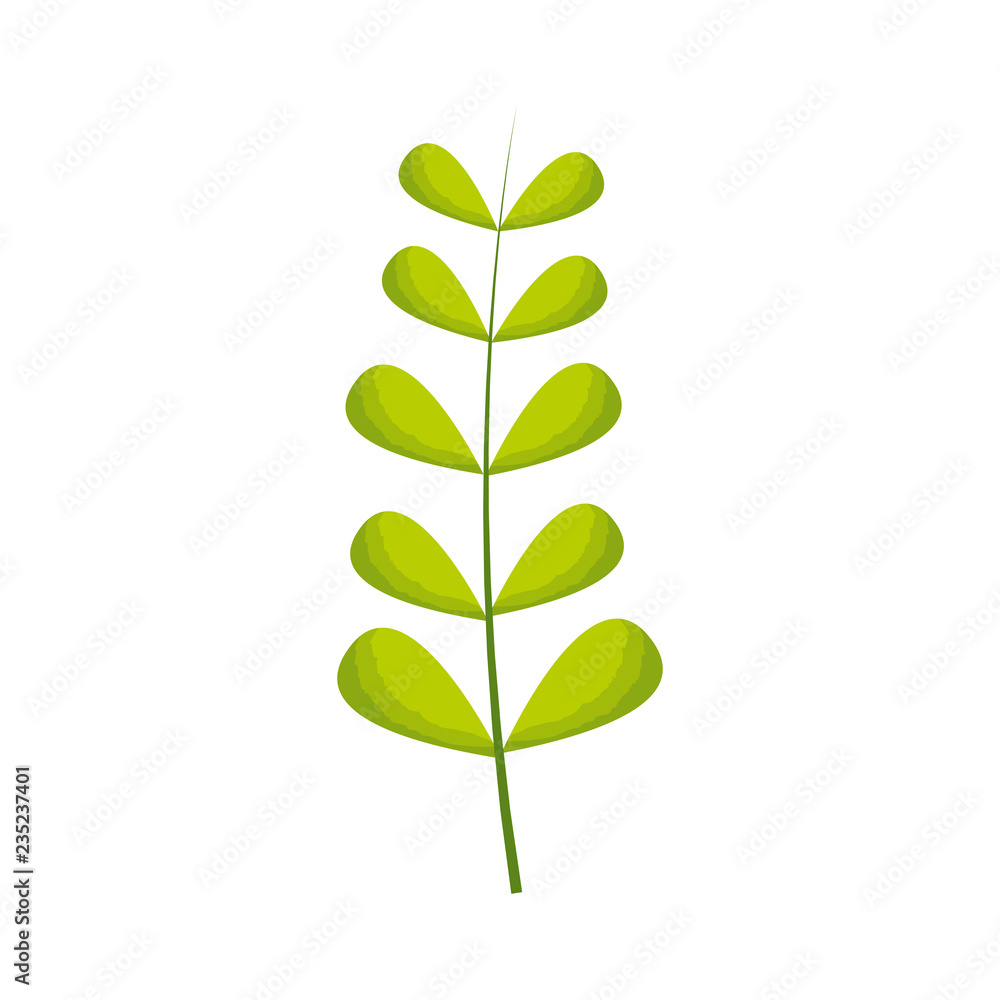 green branch leaves natural tropical green branch leaves natural tropical