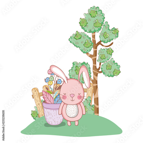 little rabbit in the garden