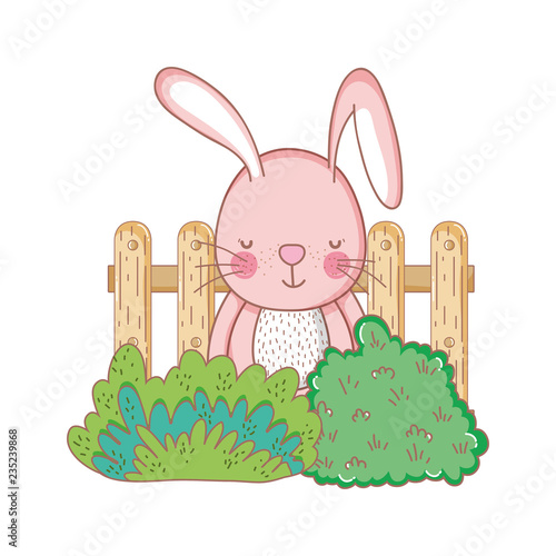 little rabbit in the garden
