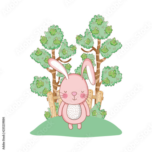 little rabbit in the garden