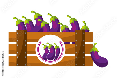 wooden basket eggplants on white background