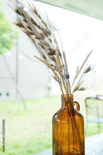 Wallpaper Mural Grass flower in clear glass vase Torontodigital.ca