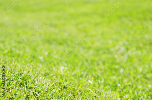 Wallpaper Mural 芝　素材 Torontodigital.ca