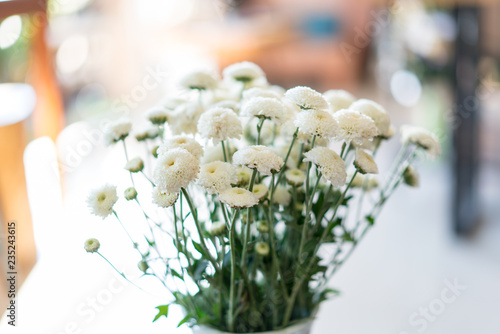 Wallpaper Mural White flowers in glass vase in vintage tone Torontodigital.ca